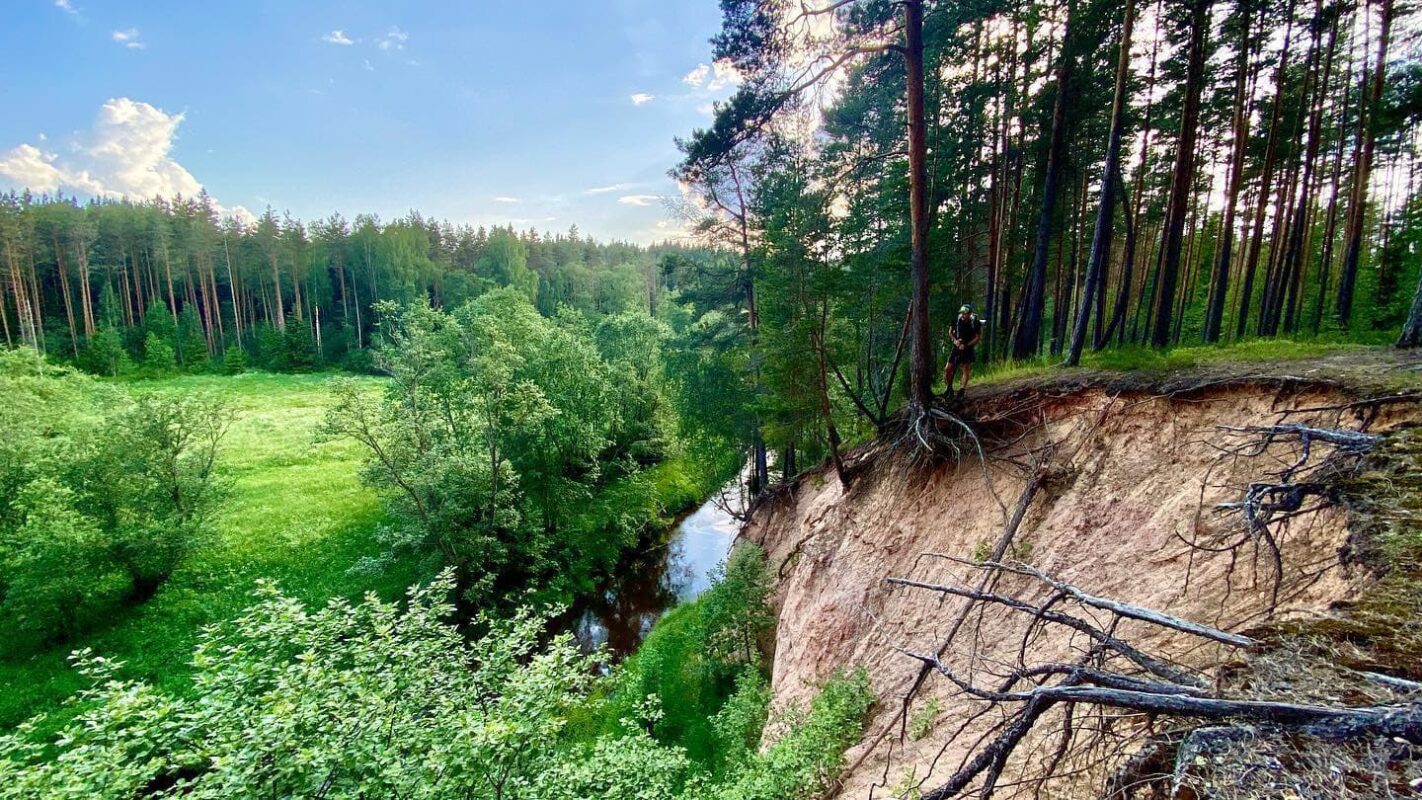 Field of grass and trees in Estonia