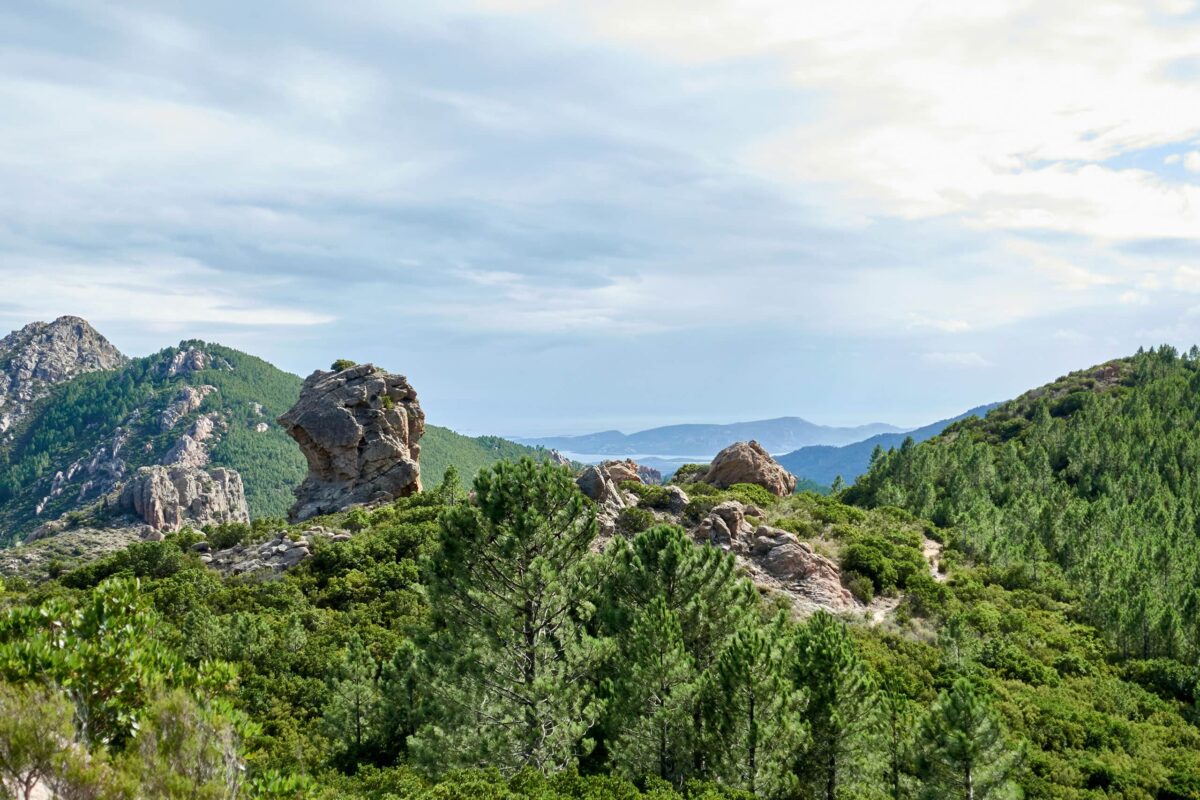 View from the GR20 in Corsica, stones and green trees, bushes