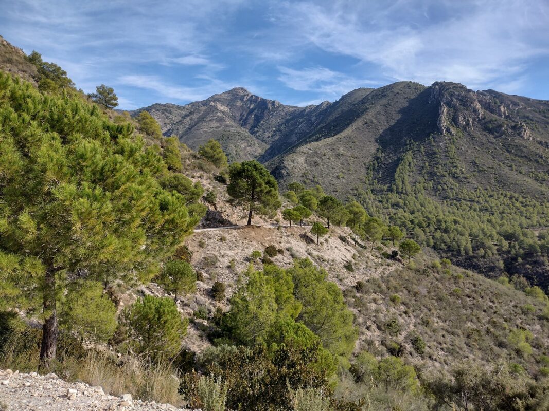 gravel road with green trees in mountain landscape