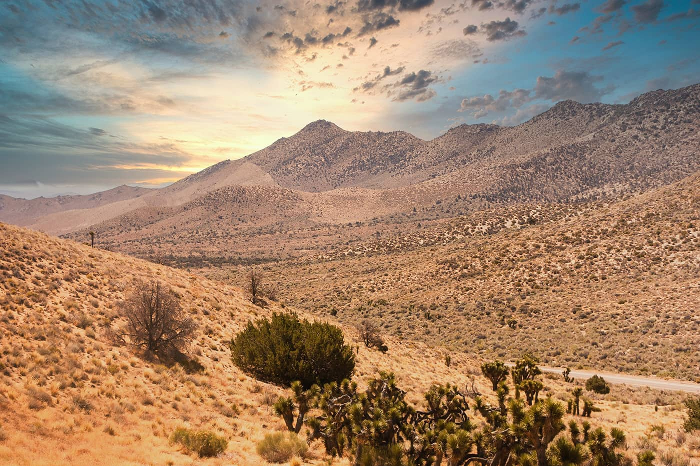 hills in the desert with some trees in the foreground