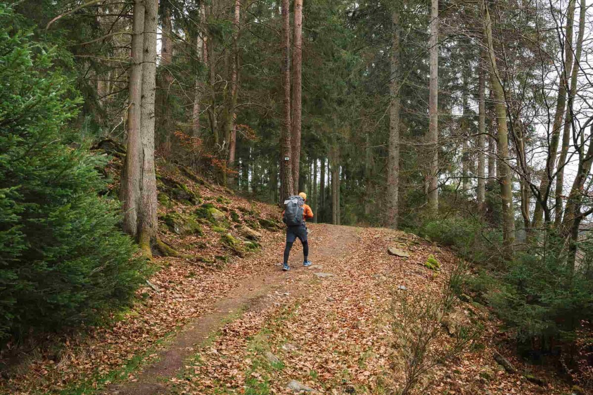 man hiking in forest