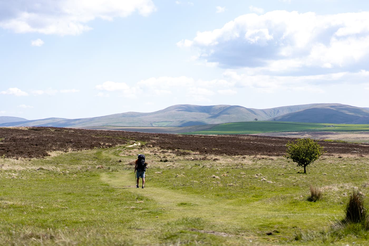 person hiking in moorland