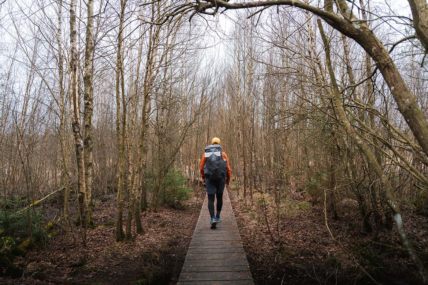 man hiking on wooden trail path in forest
