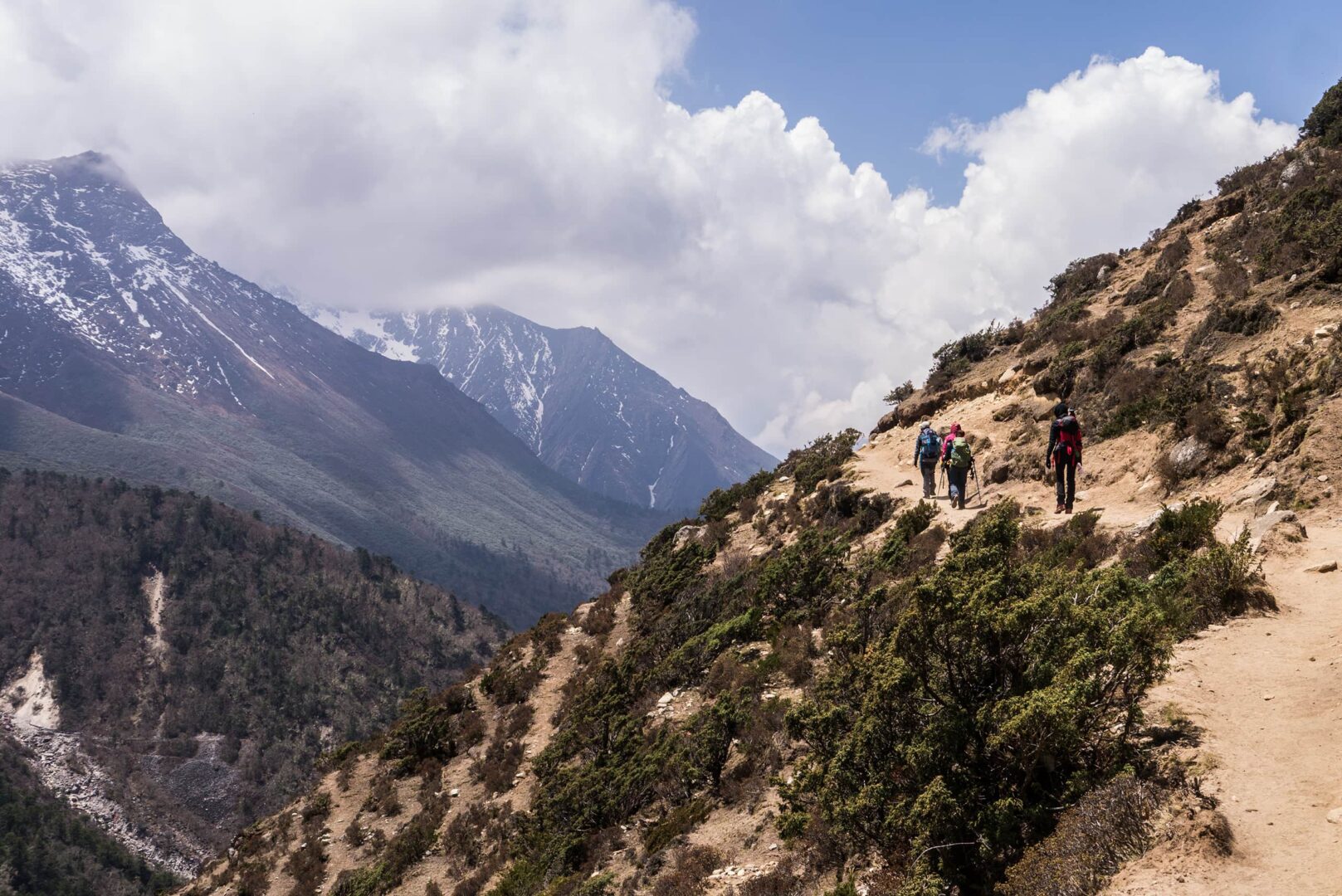 people hiking up small mountain path
