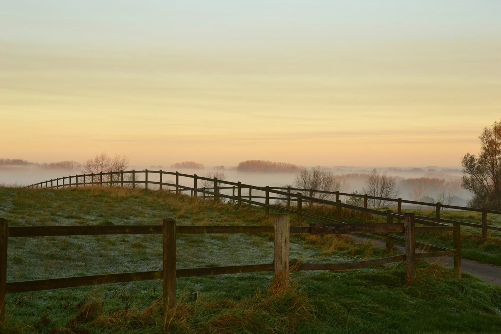 Misty morning landscape, grassy fields and wooden fences