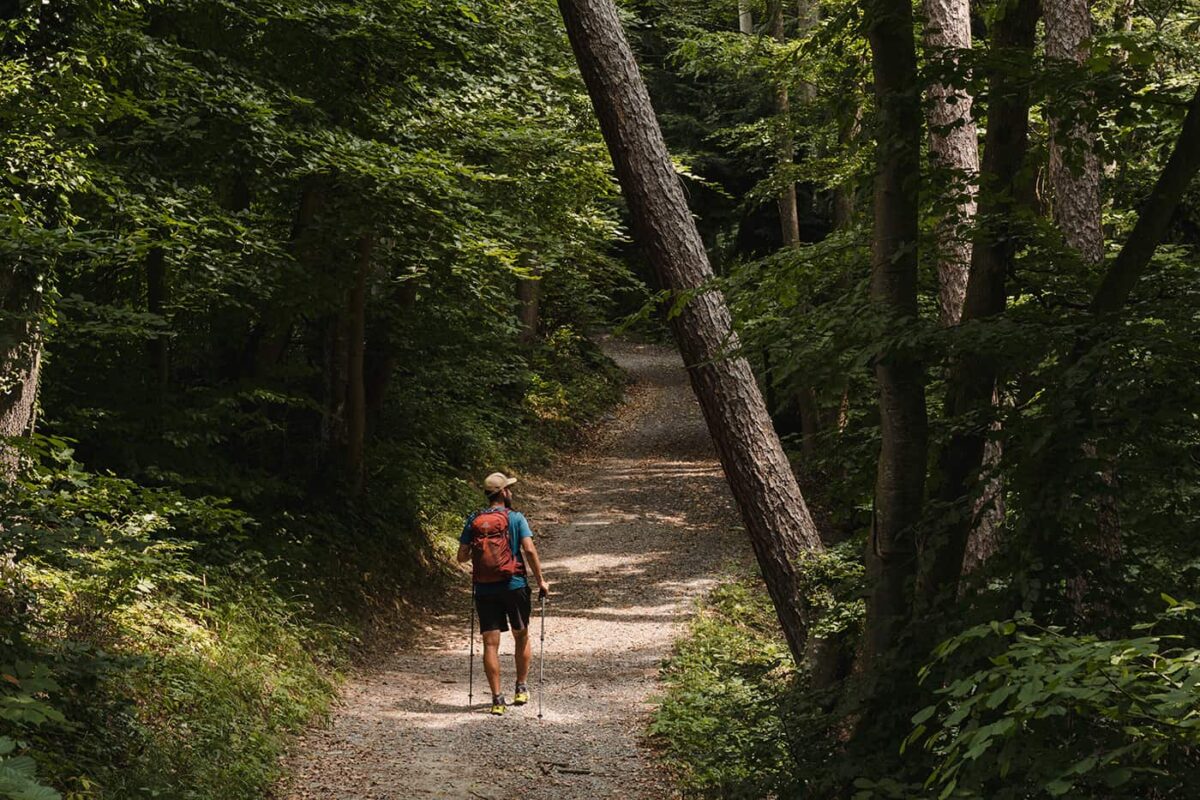 man hiking in the forest on wide path