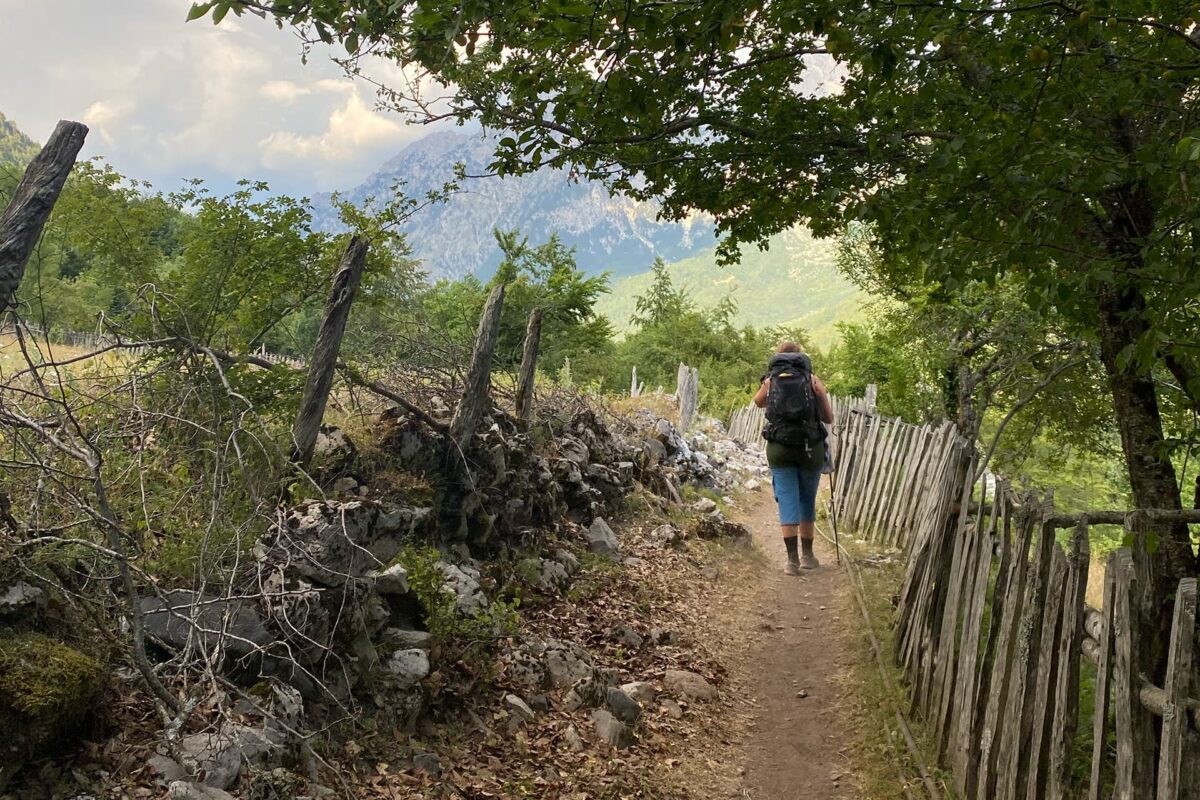 Person walking on unpaved path with fences on both sides