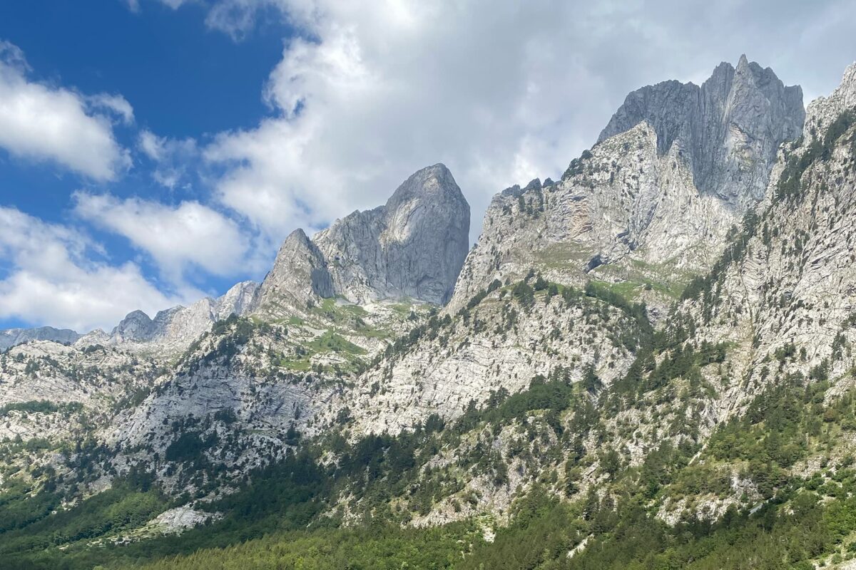 grey, rugged mountain peaks with green trees in the foreground