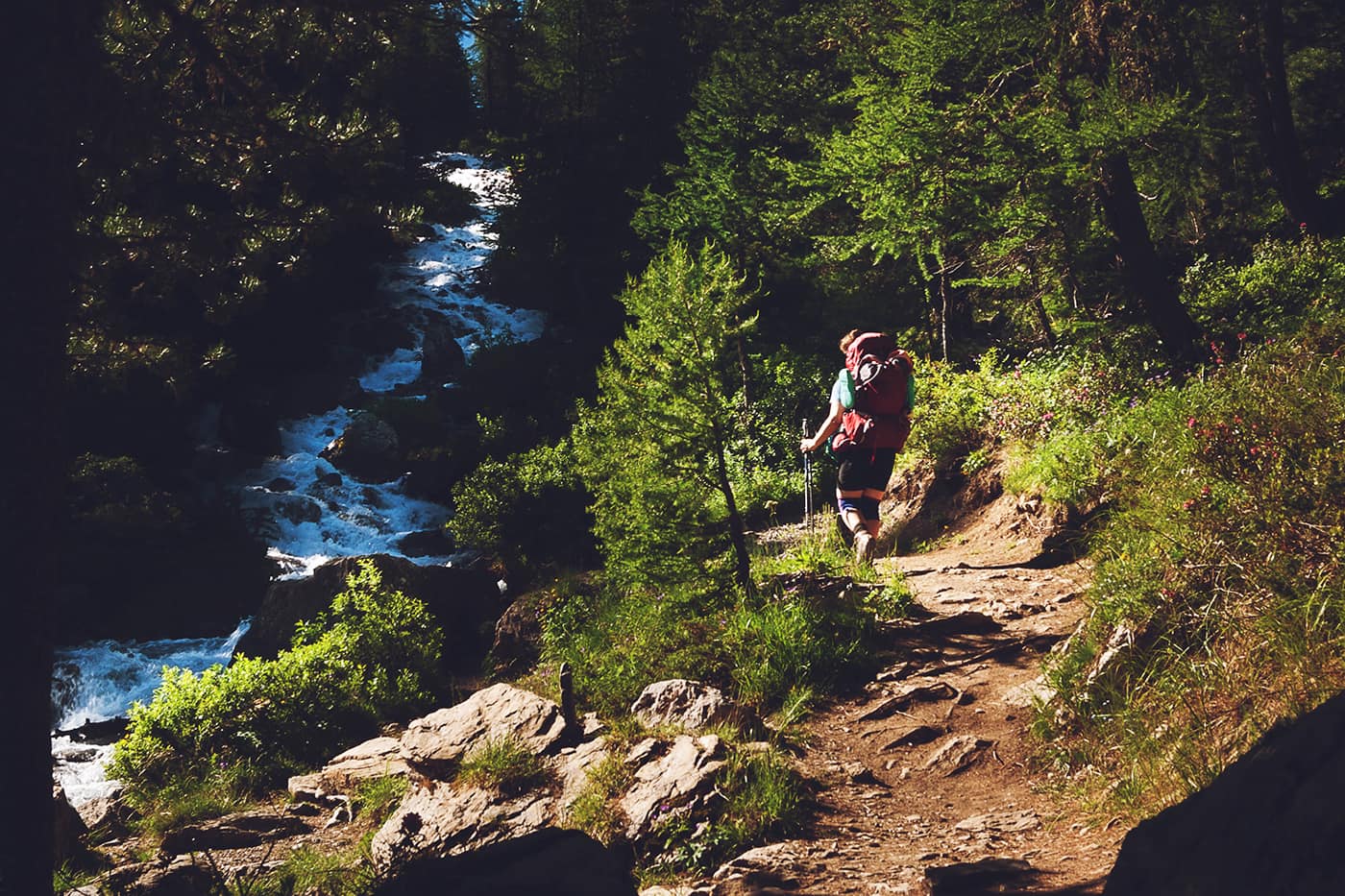 person hiking on small forest path near waterfall