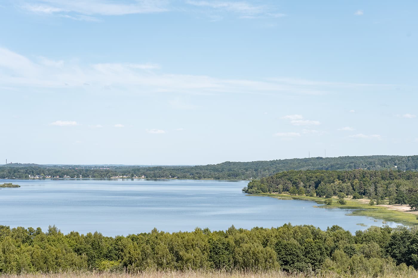 panoramic view of body of water near forest