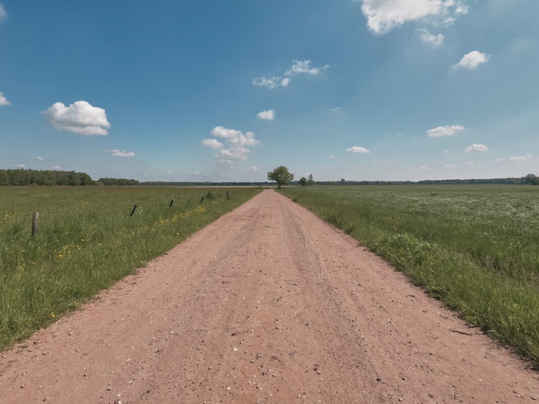 Gravel road surrounded by flat grassy fields under blue sky