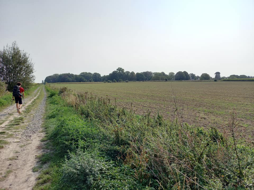 Person hiking on wide unpaved path besides flat grassy field