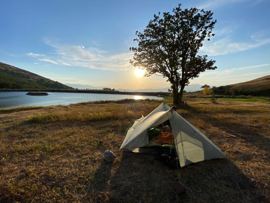 Pitched tent on grassy surface near body of water