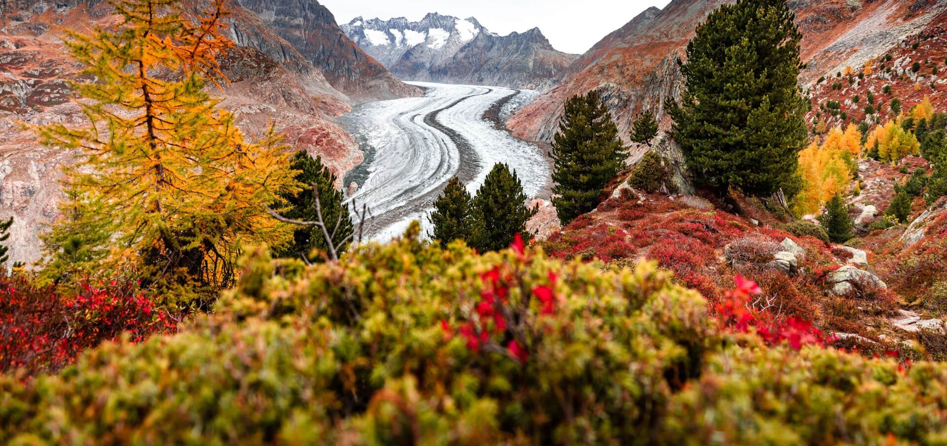 view of glacier with colorful autumn colors