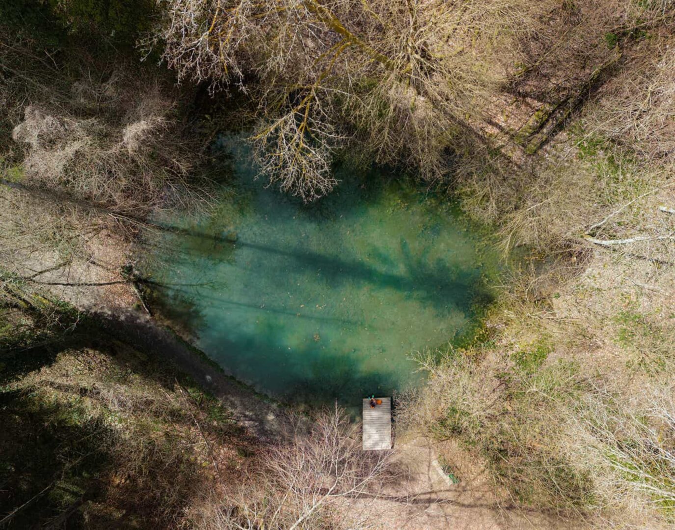 aerial view of small lake in forest
