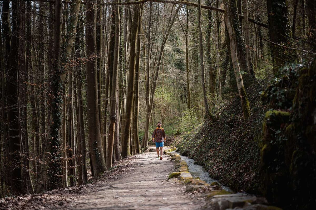 man hiking on forest path surrounded by trees