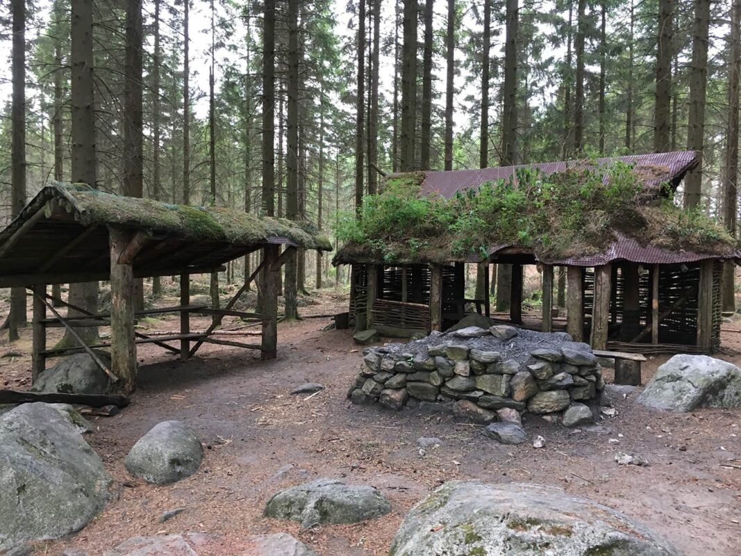 wooden shelter in forest