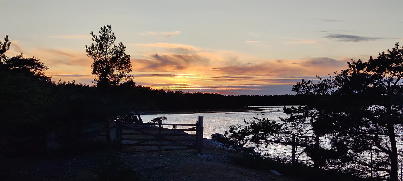 wooden gate near body of water