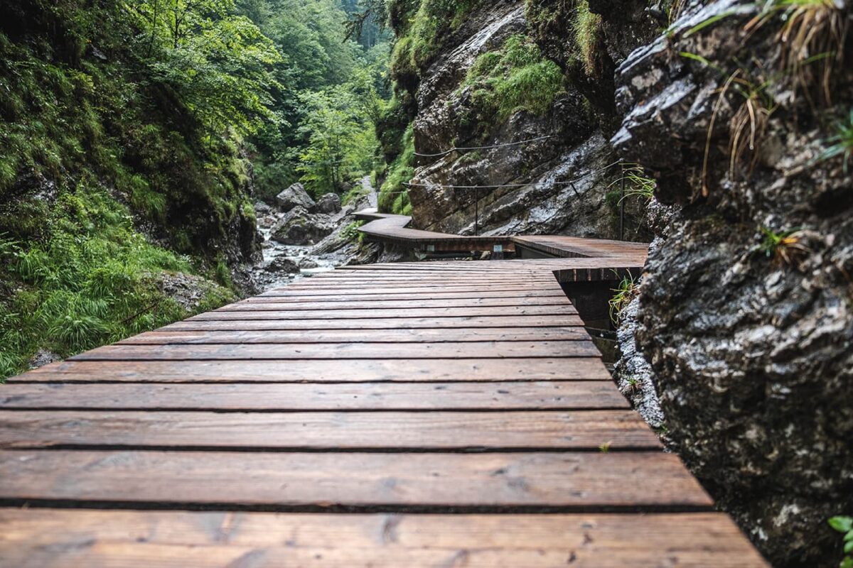 wooden walk way in canyon