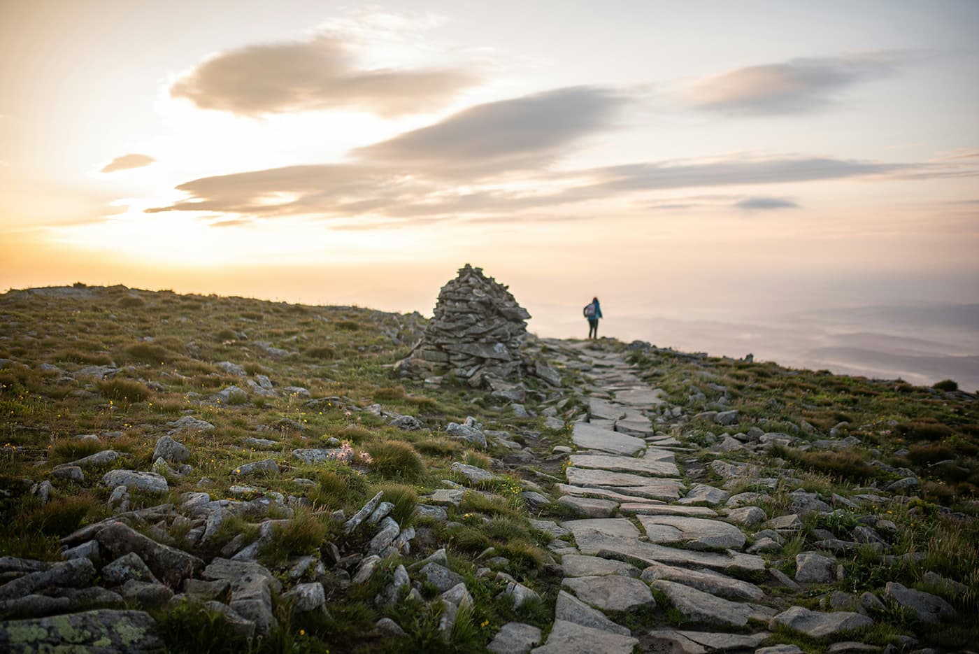 stone pathway in grassy field