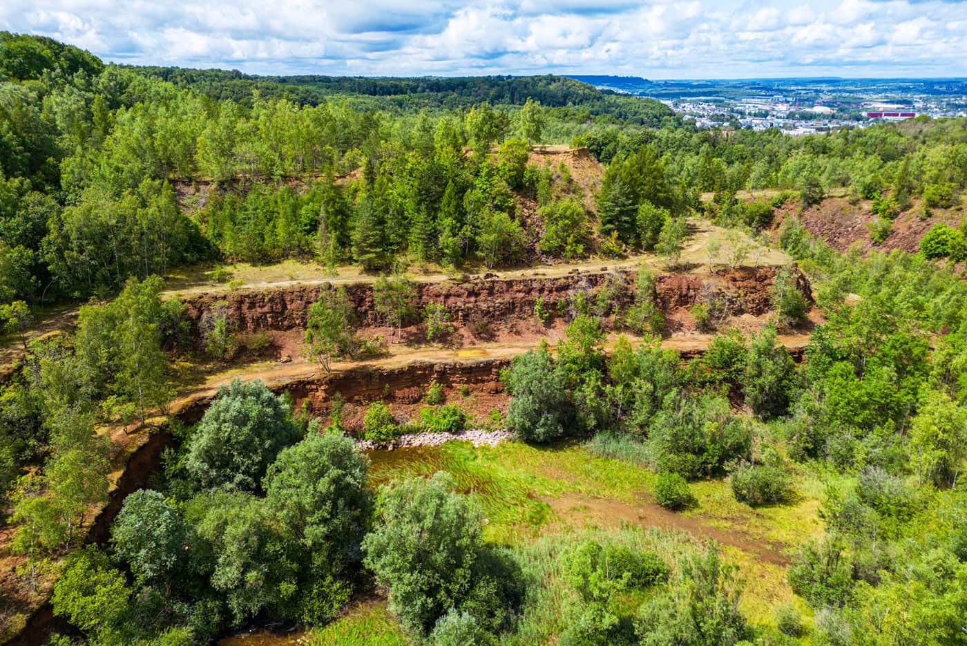 panoramic view of green landscape