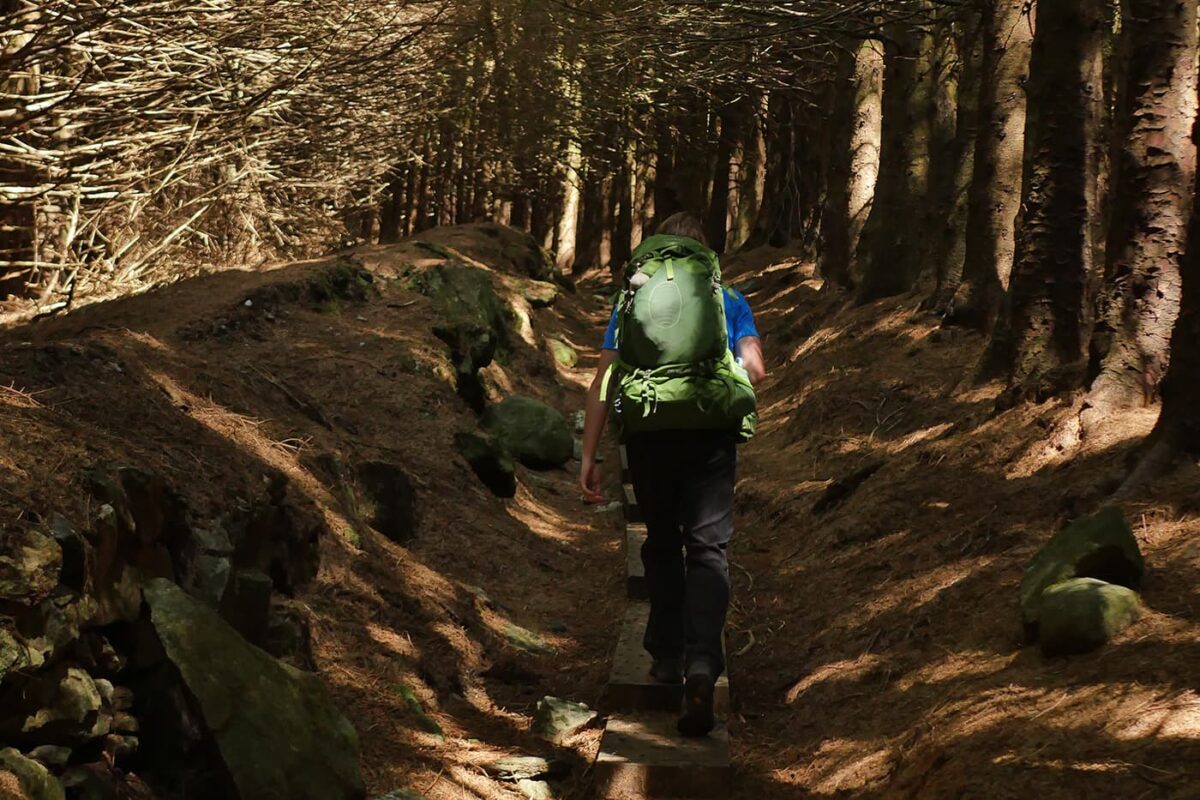 person hiking through forest