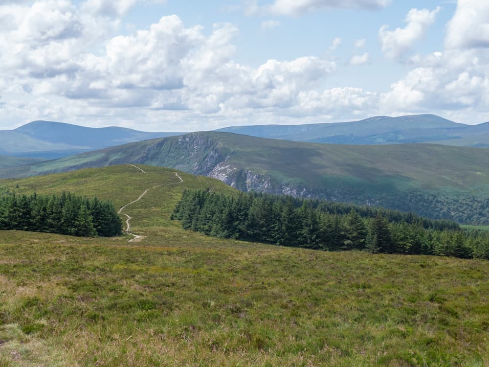 green and hilly landscape