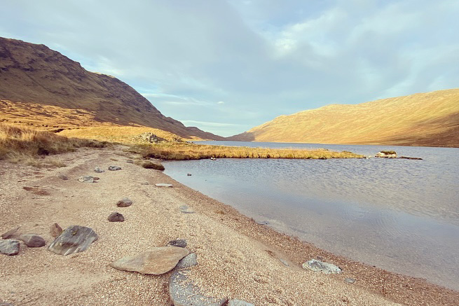 beach near grassy hills