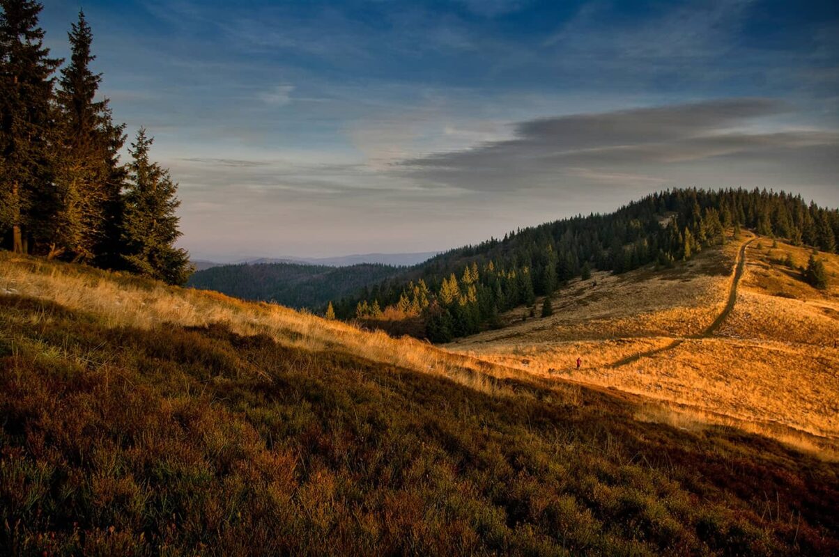 grassy hills during sunset