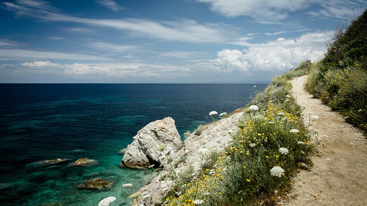 hiking trail next to the sea