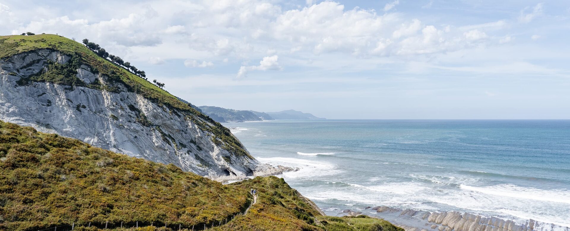 green coastline near ocean