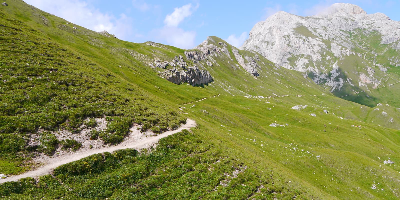 small mountain trail on side of mountain