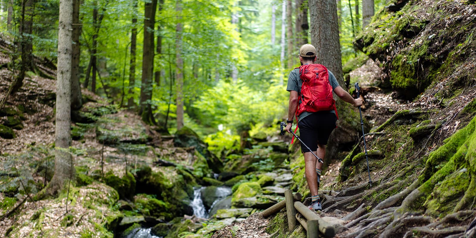 person hiking in the forest on the Alpe Adria trail