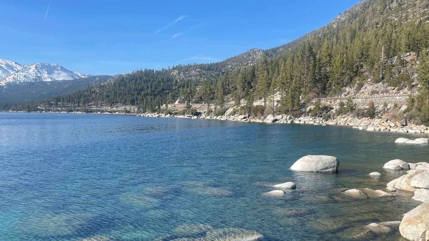 forest near body of water near Lake Tahoe