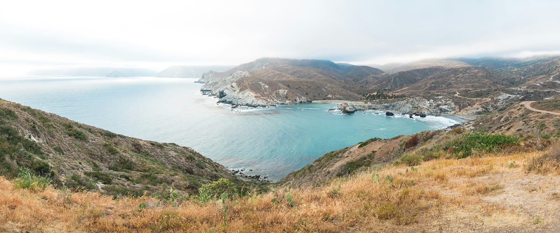 Island of Catalina in California