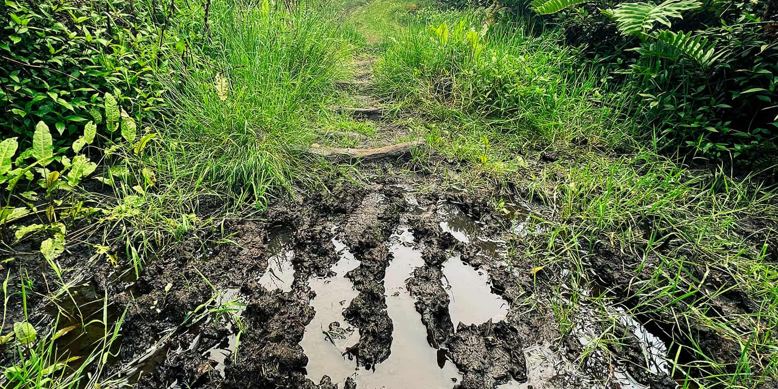 muddy foot tracks on hiking trail