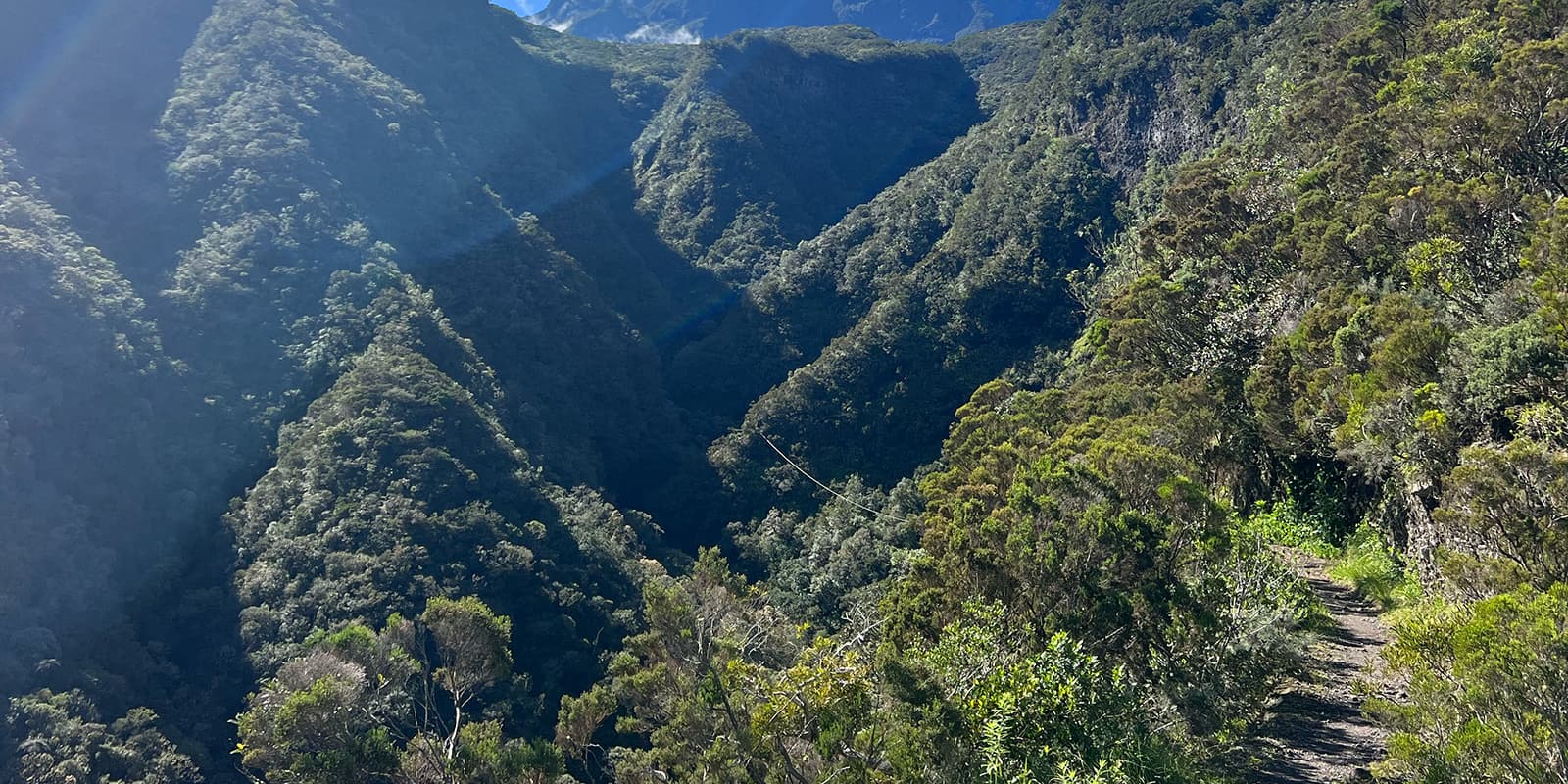 small mountain path in lush green landscape