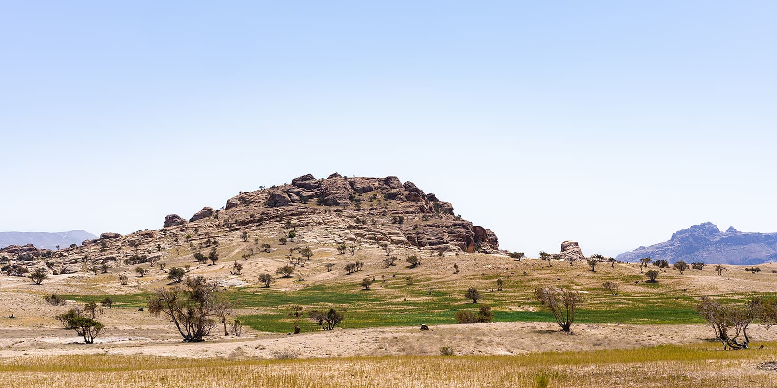 green and dry desert plain in Jordan