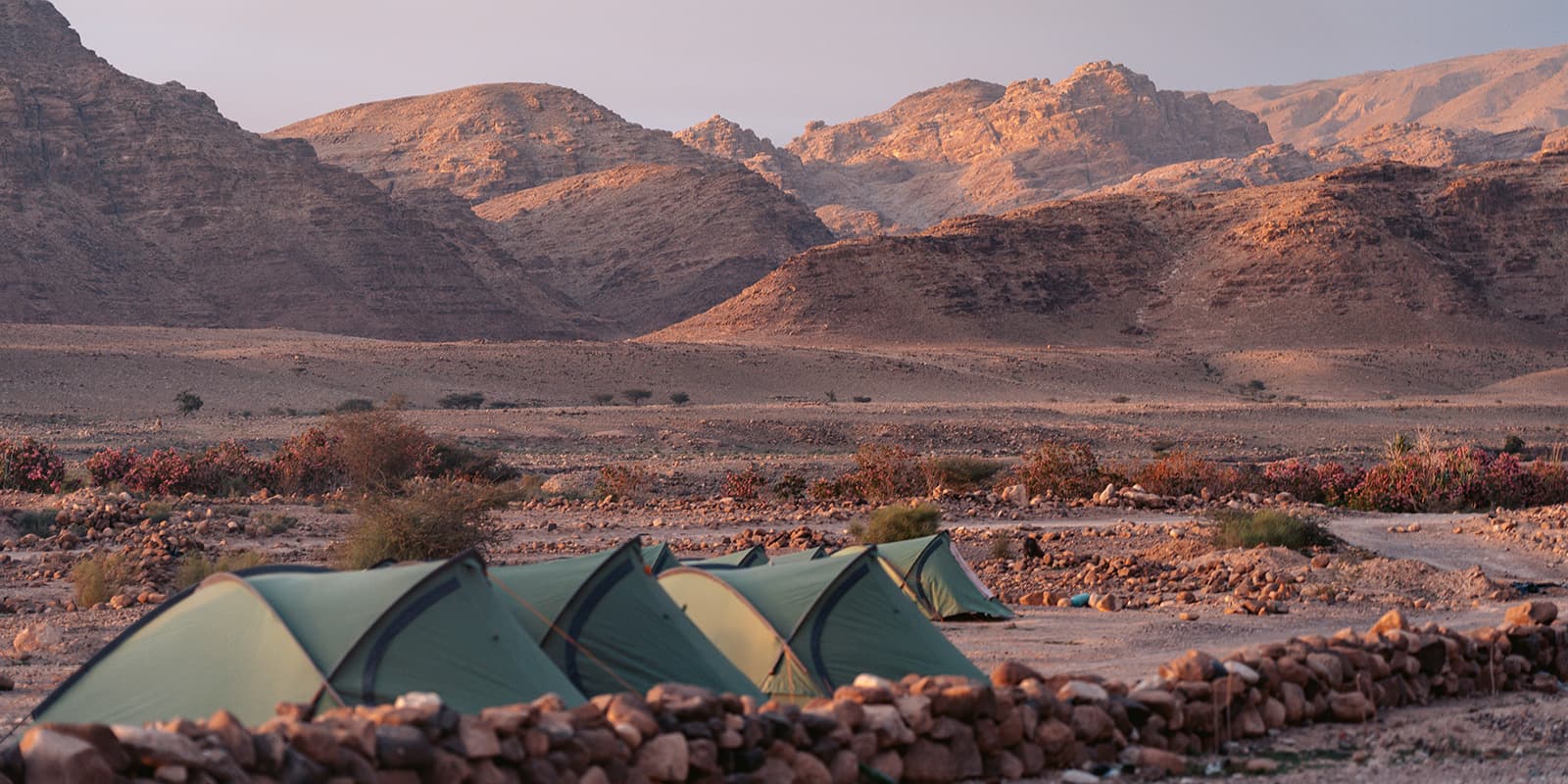 row of tents set up in the Jordan desert