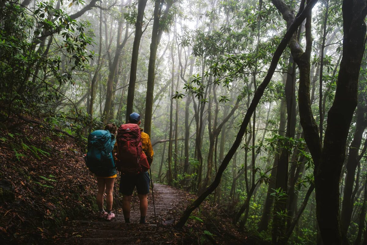 two hikers with backpacks standing in moody forest in Madeira