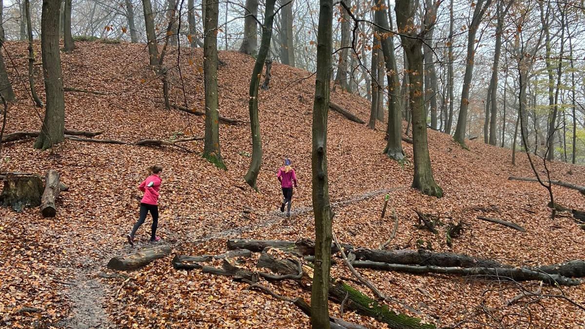 women running in forest on small path on the N70