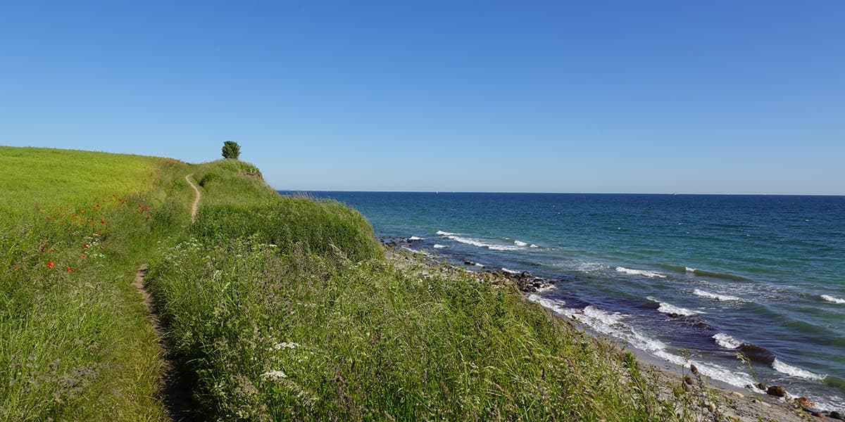 small hiking path in green field near the ocean