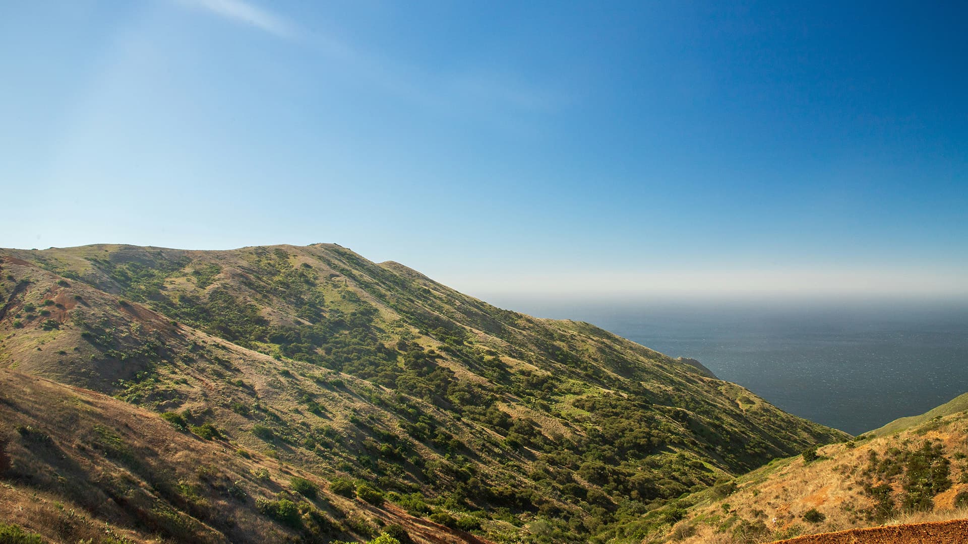 green rolling hills near the ocean on Catalina island