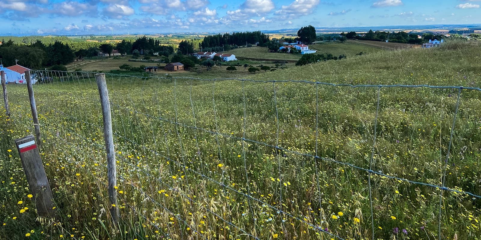 fence in green field with some houses in the background