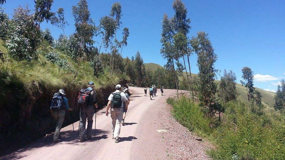 group of hikers on wide gravel road in green landscape