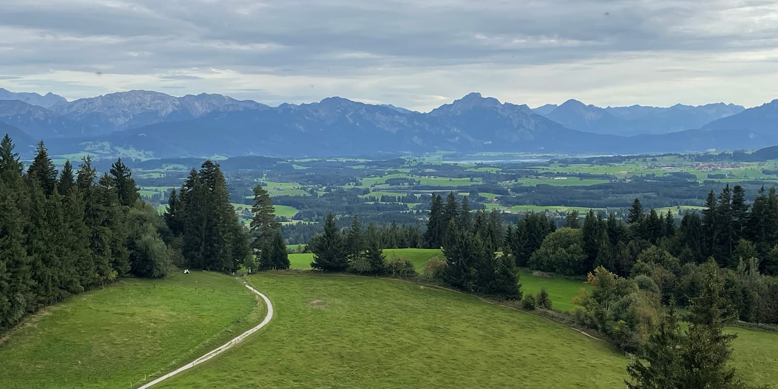 green landscape with mountains in the background