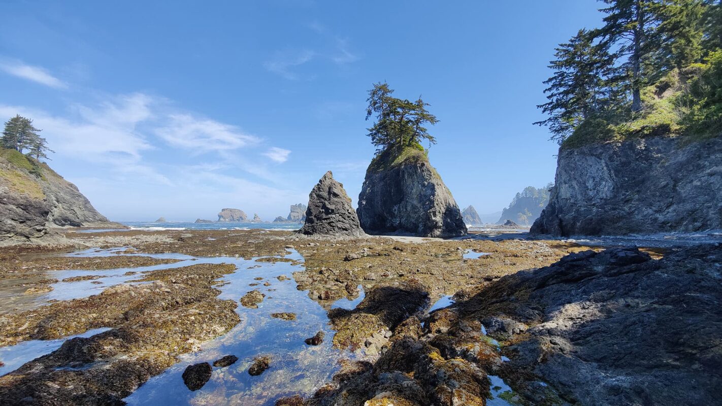 low tide on rocky beach near Washington state