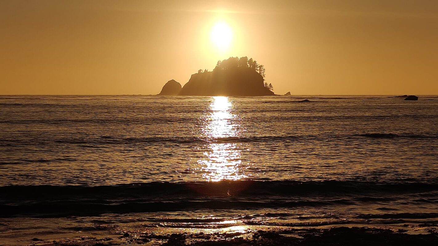 sunset near the ocean on wilderness coast trail