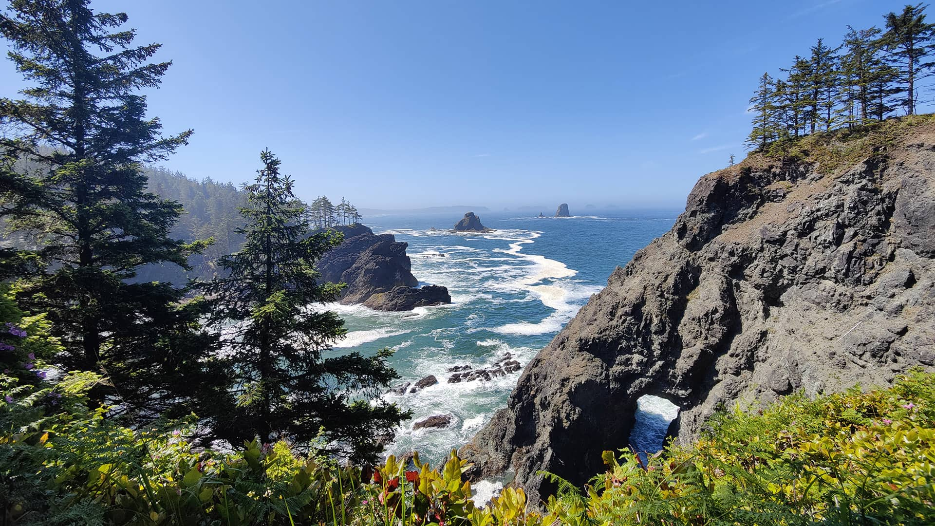 rugged coastline with green landscape