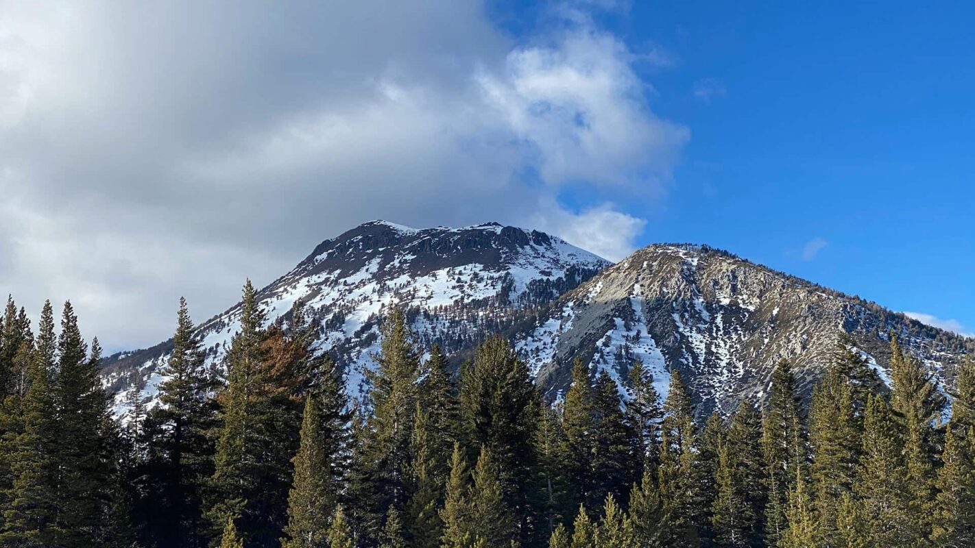 Snow covered mountain summit near forest